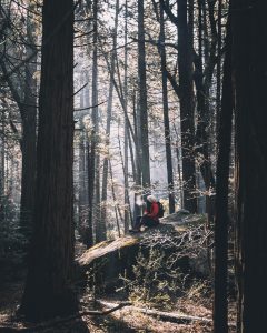 Yosemite National Park