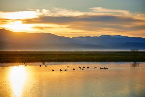 Bear Lake Wildlife Refuge, Near Montpelier, Idaho. Photo Credit: Idaho Tourism