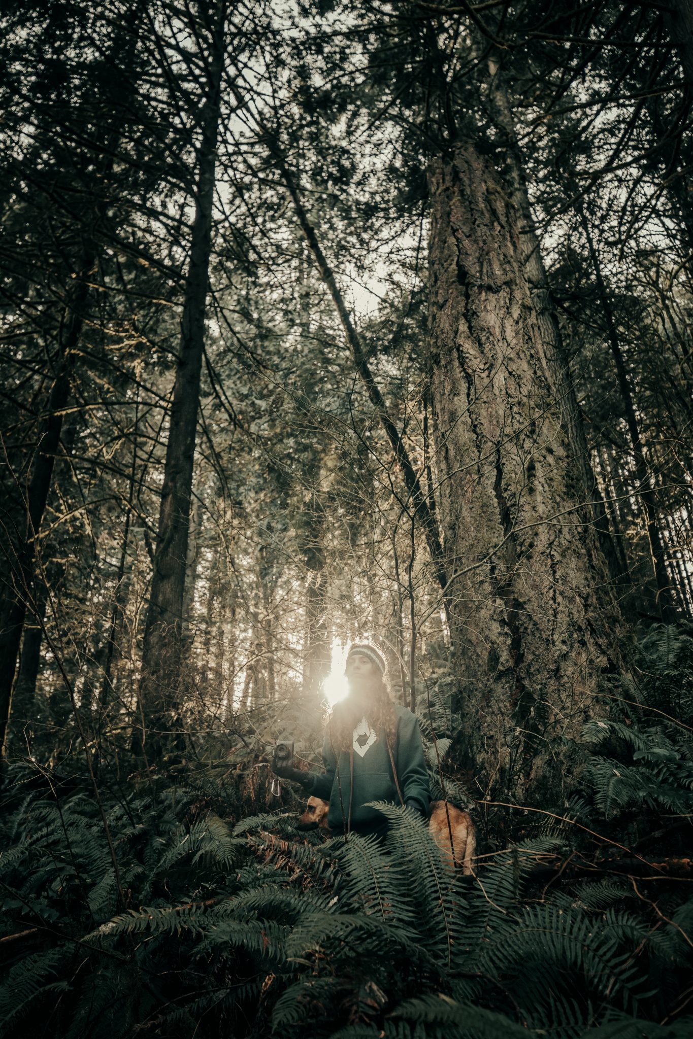 Out of a forest. Любовь в лесу. Любовный лес. Темный лес любовь. Любовь в лесу картинки.